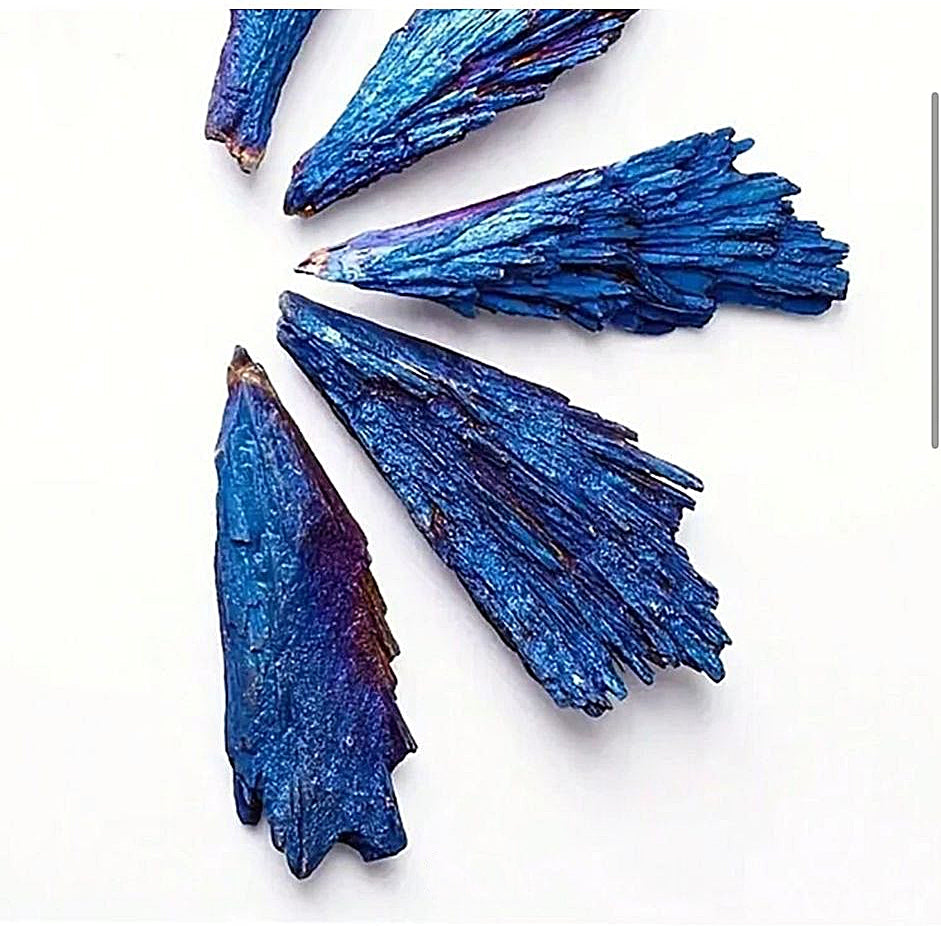 Electroplated Black Tourmaline with Blue Feather Accent – Crystal Display in Light Wood-Look Frame
